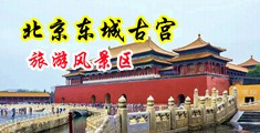 男人操女人的网站中国北京-东城古宫旅游风景区